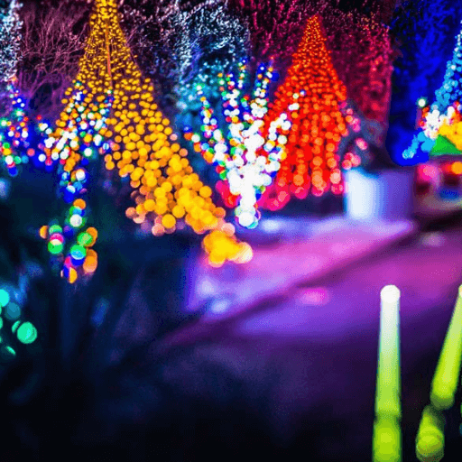 Christmas Lights Display Hire