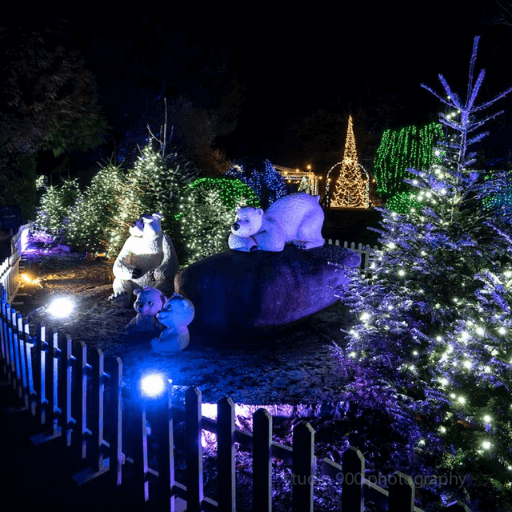 Christmas Lights Trail Hire