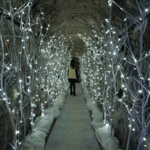 Holiday Lights Trail Hire