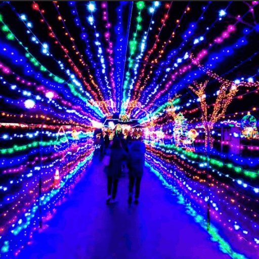 Illuminated Trail Setup Hire