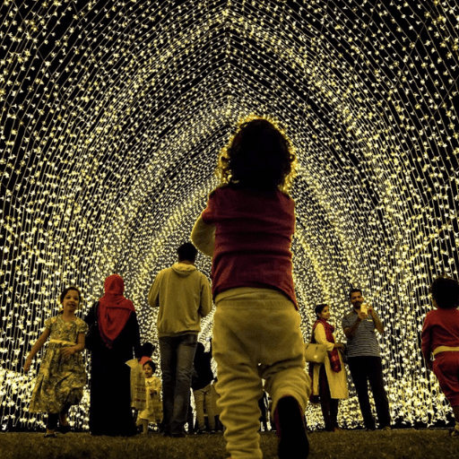 Outdoor Christmas Lighting Hire